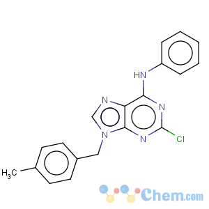 CAS No:125802-42-8 9H-Purin-6-amine,2-chloro-9-[(4-methylphenyl)methyl]-N-phenyl-