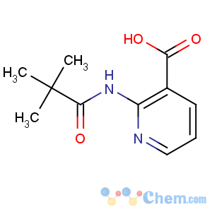 CAS No:125867-25-6 2-(2,2-dimethylpropanoylamino)pyridine-3-carboxylic acid