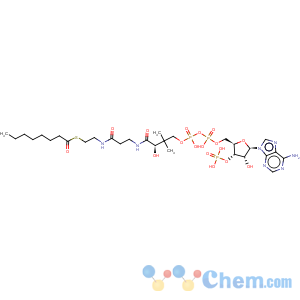 CAS No:1264-52-4 Coenzyme A, S-octanoate