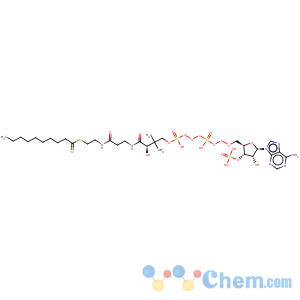CAS No:1264-57-9 4-Thiazolecarboxamide,N-[5-[[(3-amino-3-iminopropyl)amino]carbonyl]-1-methyl-1H-pyrrol-3-yl]-2-(formylamino)-