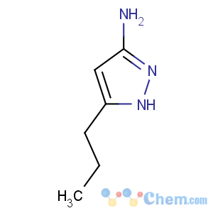 CAS No:126748-58-1 5-propyl-1H-pyrazol-3-amine