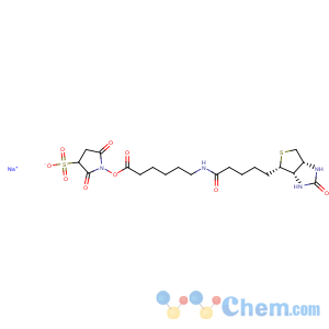 CAS No:127062-22-0 Sulfosuccinimidyl 6-(biotinamido)hexanoate sodium salt