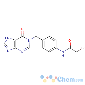 CAS No:127223-28-3 2-bromo-N-[4-[(6-oxo-7H-purin-1-yl)methyl]phenyl]acetamide