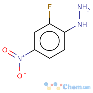 CAS No:127350-92-9 2-fluoro-4-nitro-phenyl hydrazine