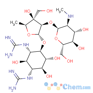 CAS No:128-46-1 Dihydrostreptomycin