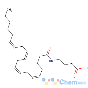 CAS No:128201-89-8 4-(((5Z,8Z,11Z,14Z)-1-Oxo-5,8,11,14-eicosatetraenyl)amino)butanoic acid