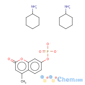 CAS No:128218-53-1 4-methylumbelliferyl phosphate, bis(cyclohexylammonium) salt