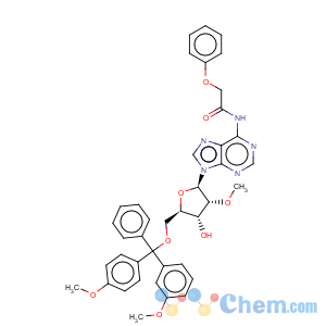 CAS No:128219-81-8 5'-o-dmt-2'-o-methyl-n6-phenoxyacetyl-d-adenosine