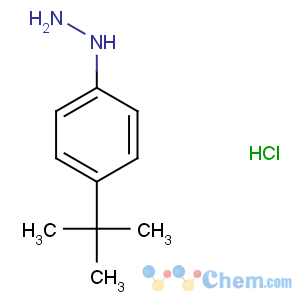 CAS No:128231-55-0 (4-tert-butylphenyl)hydrazine