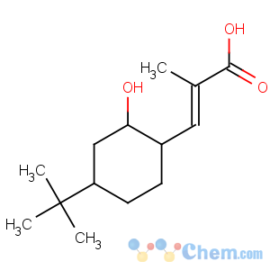 CAS No:128840-36-8 2-Propenoic acid,2-methyl-, 4-(1,1-dimethylethyl)-2-hydroxycyclohexyl ester