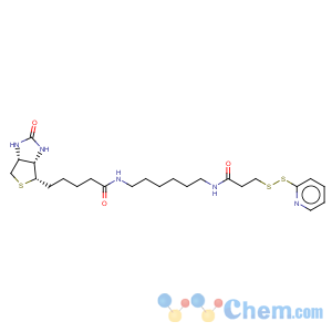 CAS No:129179-83-5 N-[6-(Biotinamido)hexyl]-3'-(2'-pyridyldithio)propionamide