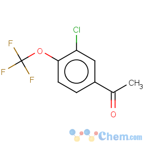 CAS No:129604-27-9 1-[3-chloro-4-(trifluoromethoxy)phenyl]ethanone