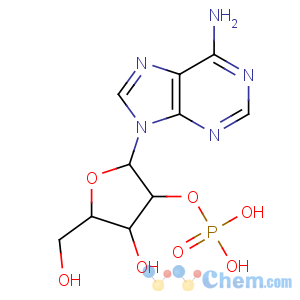 CAS No:130-49-4 2'-Adenylic acid