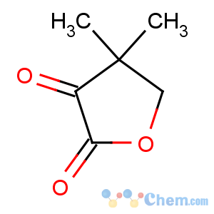 CAS No:13031-04-4 4,4-dimethyloxolane-2,3-dione