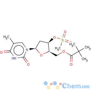 CAS No:130446-04-7 2,2-Dimethyl-propionic acid 3-methanesulfonyloxy-5-(5-methyl-2,4-dioxo-3,4-dihydro-2H-pyrimidin-1-yl)-tetrahydro-furan-2-ylmethyl ester