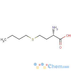 CAS No:13073-21-7 L-Homocysteine,S-butyl-