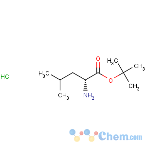 CAS No:13081-32-8 D-Leucine,1,1-dimethylethyl ester, hydrochloride (1:1)
