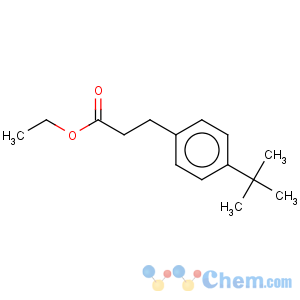 CAS No:130872-28-5 3-(4-tert-butyl-phenyl)-propionic acid ethyl ester