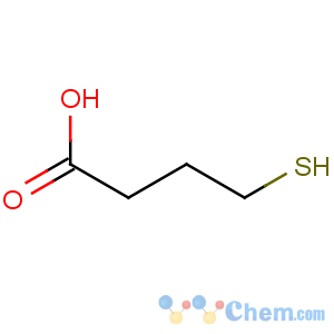 CAS No:13095-73-3 4-sulfanylbutanoic acid