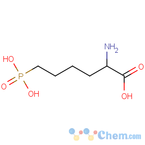 CAS No:131177-53-2 2-amino-6-phosphonohexanoic acid
