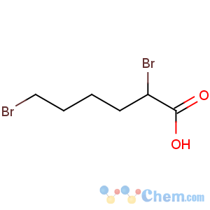 CAS No:13137-43-4 2,6-dibromohexanoic acid