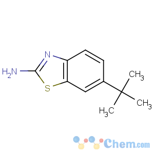 CAS No:131395-10-3 6-tert-butyl-1,3-benzothiazol-2-amine