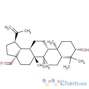 CAS No:13159-28-9 3beta-Hydroxy-Lup-20(30)-en-28-al