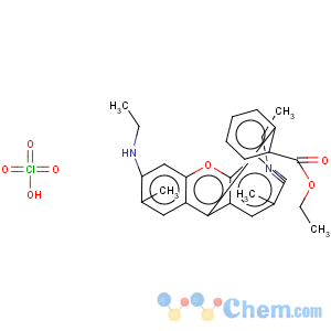 CAS No:13161-28-9 RHODAMINE 6G PERCHLORATE