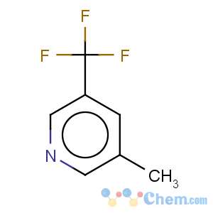 CAS No:131748-15-7 3-methyl-5-(trifluoromethyl)pyridine