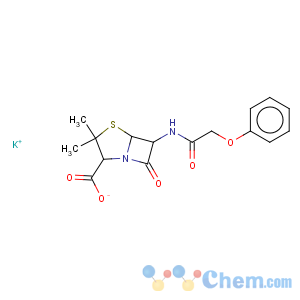 CAS No:132-98-9 Penicillin V potassium salt