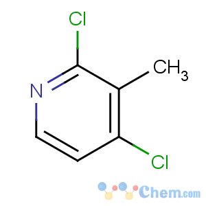 CAS No:132097-09-7 2,4-dichloro-3-methylpyridine
