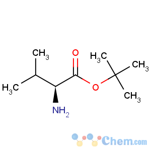 CAS No:13211-31-9 tert-Butyl L-valinate