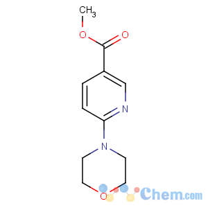 CAS No:132546-81-7 methyl 6-morpholin-4-ylpyridine-3-carboxylate