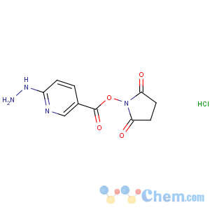 CAS No:133081-27-3 (2,5-dioxopyrrolidin-1-yl)<br />6-hydrazinylpyridine-3-carboxylate
