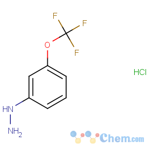 CAS No:133115-55-6 [3-(trifluoromethoxy)phenyl]hydrazine