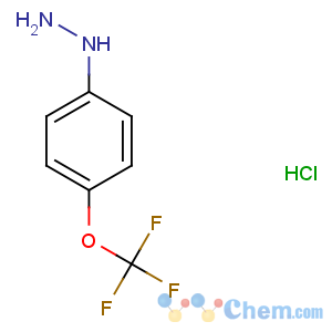 CAS No:133115-72-7 [4-(trifluoromethoxy)phenyl]hydrazine