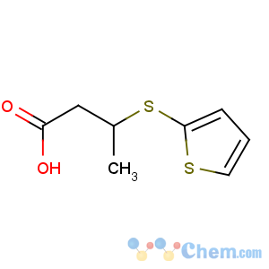CAS No:133359-80-5 (3S)-3-thiophen-2-ylsulfanylbutanoic acid