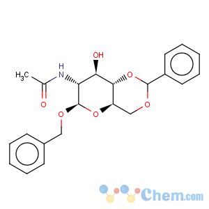 CAS No:13343-61-8 b-D-Glucopyranoside, phenylmethyl2-(acetylamino)-2-deoxy-4,6-O-(phenylmethylene)-