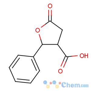 CAS No:13389-88-3 5-oxo-2-phenyloxolane-3-carboxylic acid