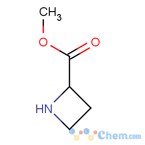 CAS No:134419-57-1 methyl azetidine-2-carboxylate