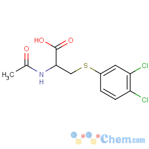 CAS No:13443-69-1 L-Cysteine,N-acetyl-S-(3,4-dichlorophenyl)-