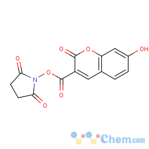 CAS No:134471-24-2 (2,5-dioxopyrrolidin-1-yl) 7-hydroxy-2-oxochromene-3-carboxylate
