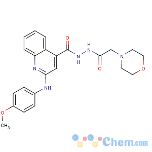 CAS No:134721-80-5 4-Quinolinecarboxylicacid, 2-[(4-methoxyphenyl)amino]-, 2-[2-(4-morpholinyl)acetyl]hydrazide