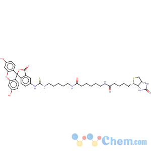 CAS No:134759-22-1 1H-Thieno[3,4-d]imidazole-4-pentanamide,N-[6-[[5-[[[(3',6'-dihydroxy-3-oxospiro[isobenzofuran-1(3H),9'-[9H]xanthen]-5-yl)amino]thioxomethyl]amino]pentyl]amino]-6-oxohexyl]hexahydro-2-oxo-,(3aS,4S,6aR)-