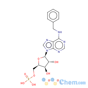 CAS No:13484-66-7 5'-Adenylic acid,N-(phenylmethyl)-