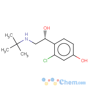 CAS No:134865-33-1 Benzenemethanol,2-chloro-a-[[(1,1-dimethylethyl)amino]methyl]-4-hydroxy-,(aR)-