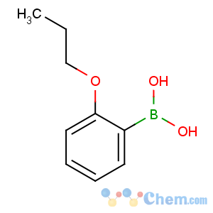 CAS No:134896-34-7 (2-propoxyphenyl)boronic acid