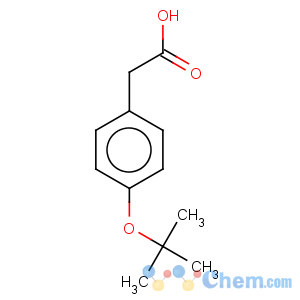 CAS No:135066-21-6 Benzeneacetic acid,4-(1,1-dimethylethoxy)-