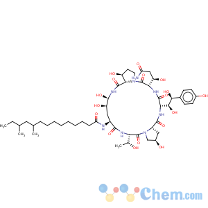 CAS No:135575-42-7 Pneumocandin B0