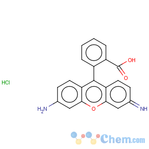 CAS No:13558-31-1 Rhodamine 110 chloride